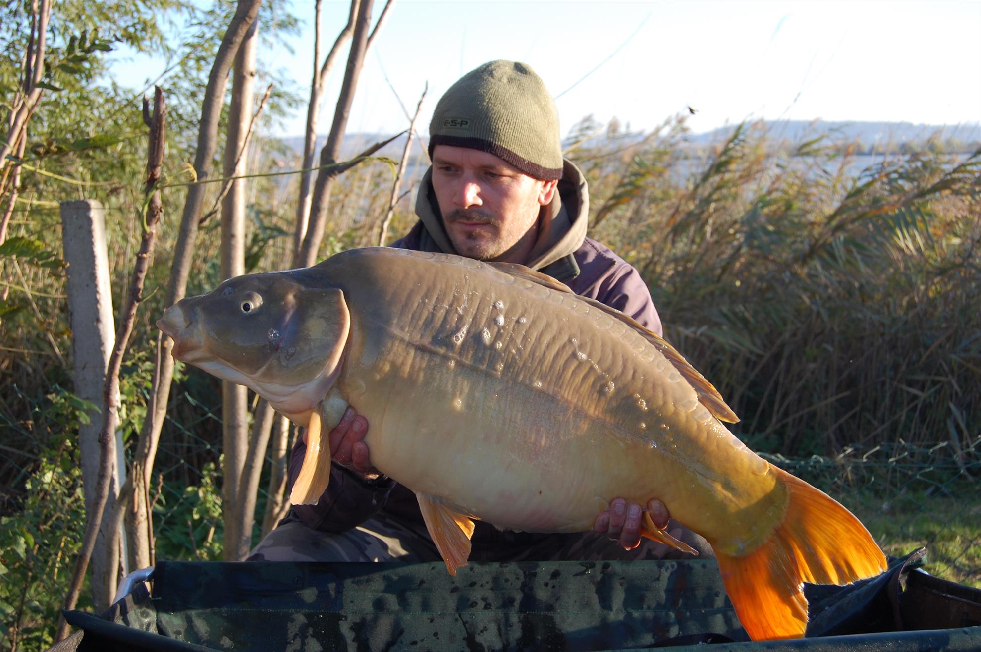 final de sezon 2015  - 15,1 kg